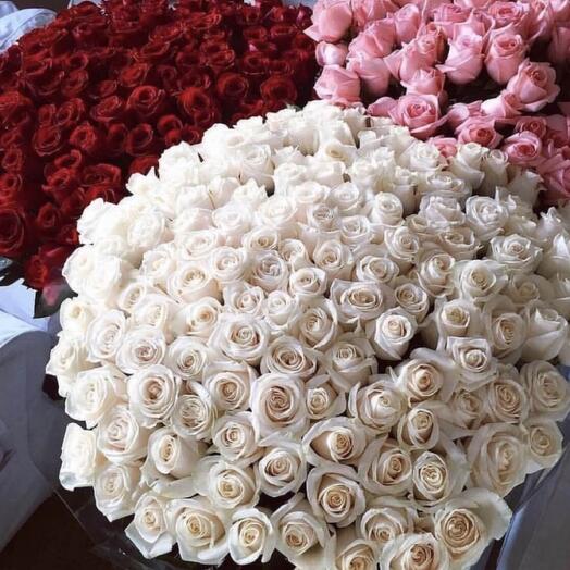 200 roses
