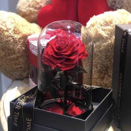 Eternal rose in glass dome 6