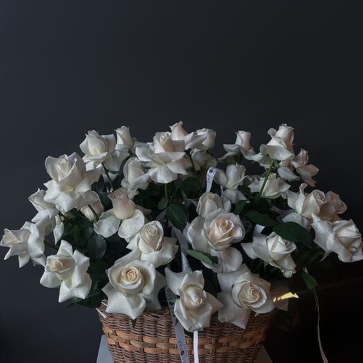 White roses, 50pcs