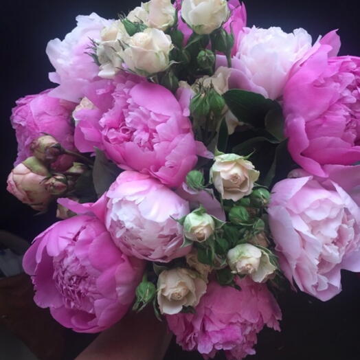 Peonies/Roses 2025