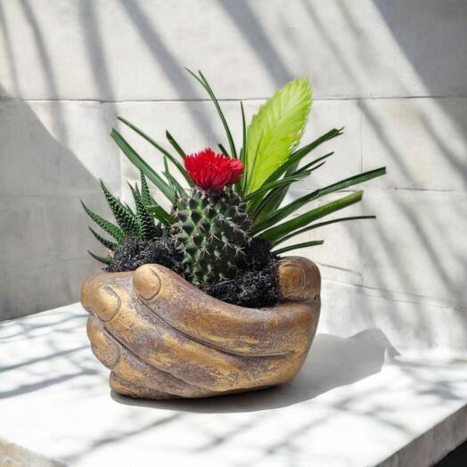 Potted Flower "Caretaker s Hands"