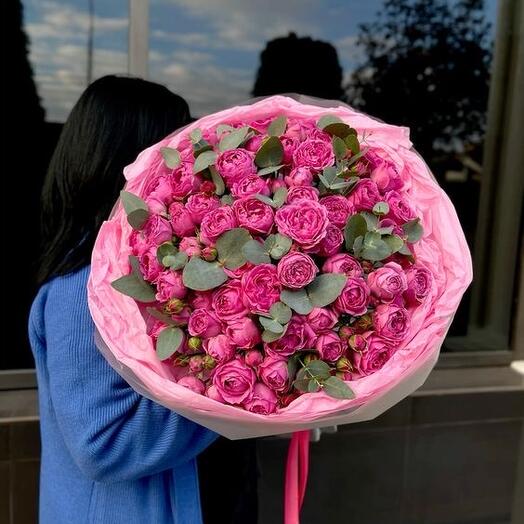 Ароматний евкаліпт