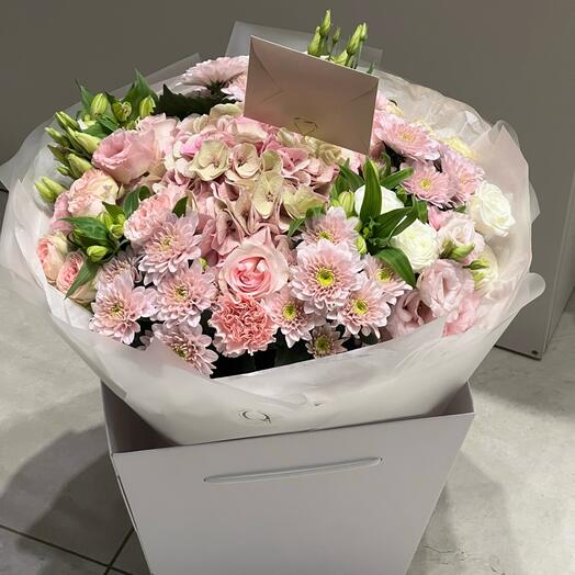 Autumn pastel 🍂 VIP