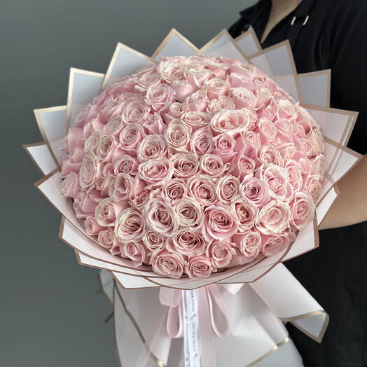 101 Sweet Pink Semiholand roses