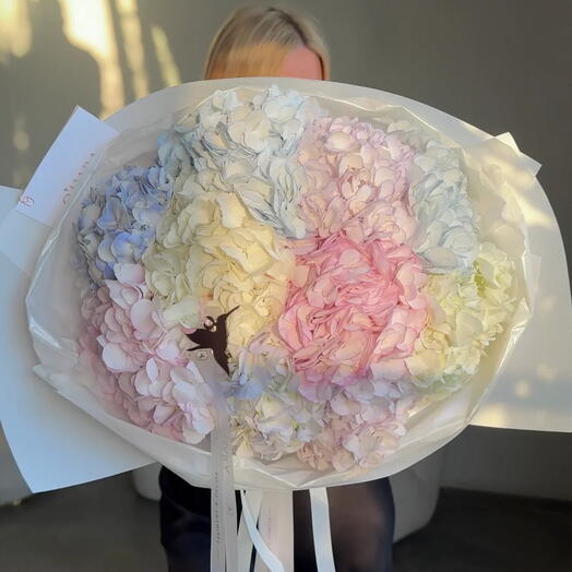 Wonderful Hydrangeas Cloud