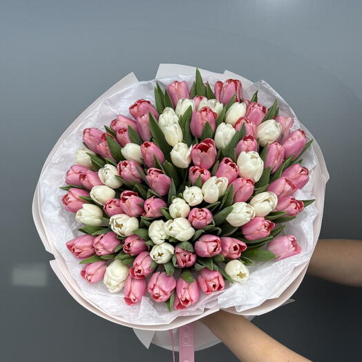 Pink and White tulips 70 stems