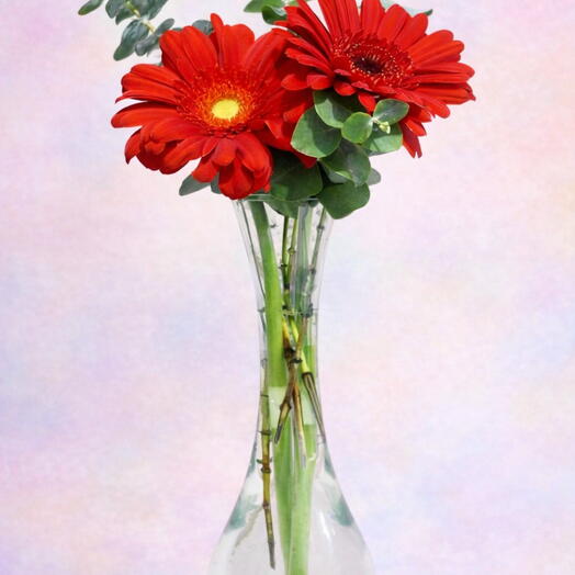 Arreglo Duo de Amor - Gerberas