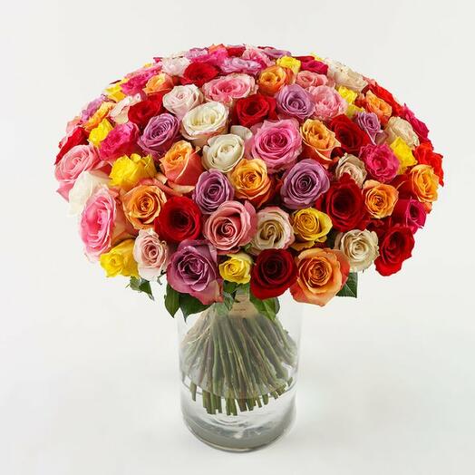 101 multicolored roses