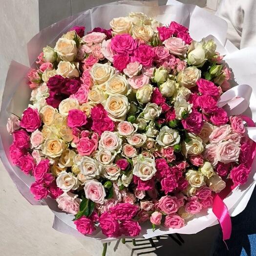 Mono of spray mox Roses