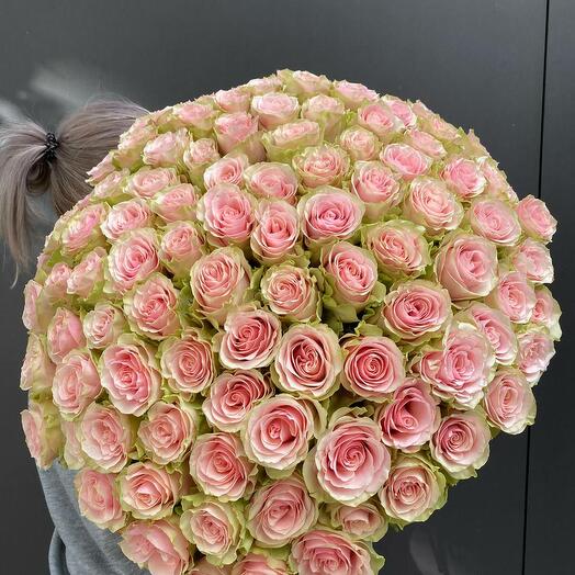 101 róż (Ekwador) Frutetta