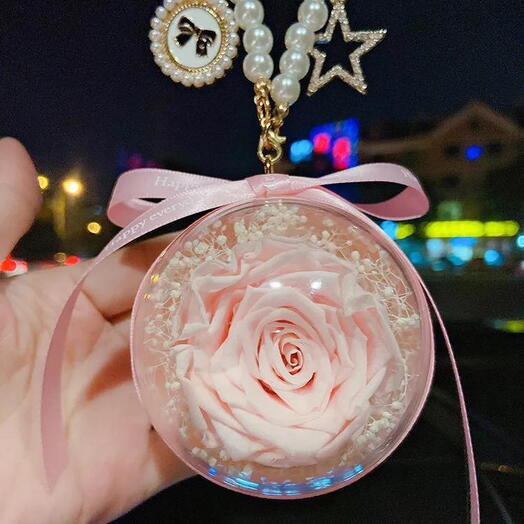 Preserved rose flower Car hanging Pink
