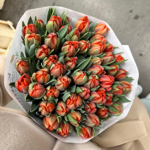 Orange princess tulips