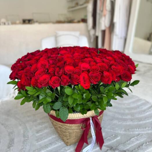 301 red roses in basket