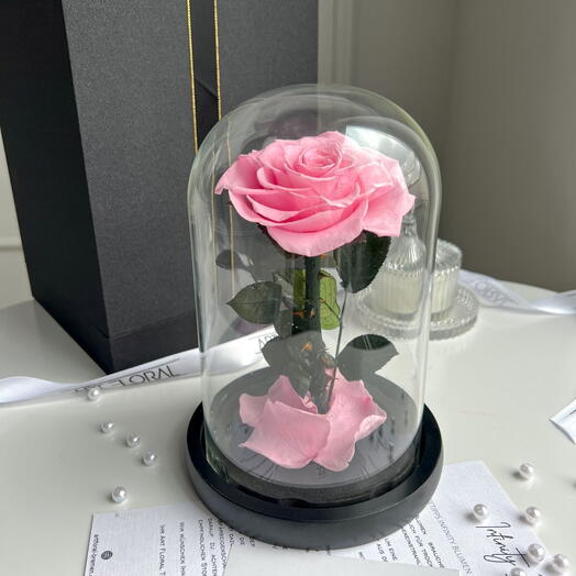 Ewige rosa Rose im Glas