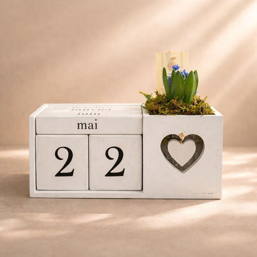 Potted Plant Calendar with Hyacinth