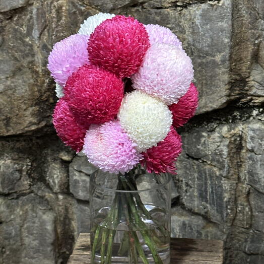 Valentine s Chupa Chups