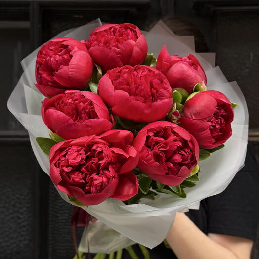 Red Peonies 9