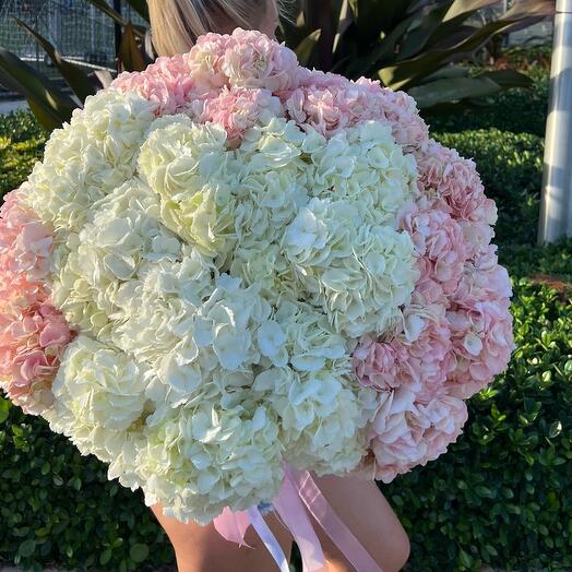 pink and white hydrangea