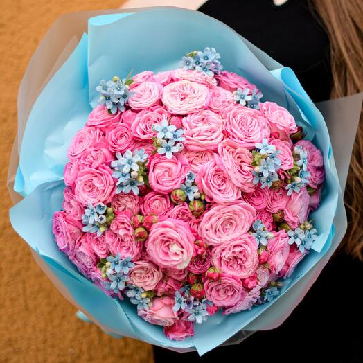 O Hara mit Oxypetalum