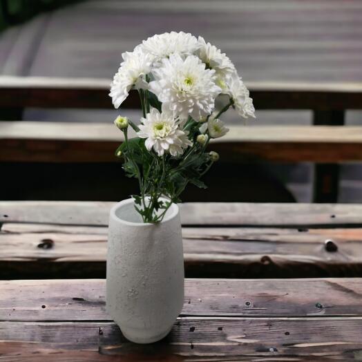 White Chrisanthemums, Price is indicated per stem