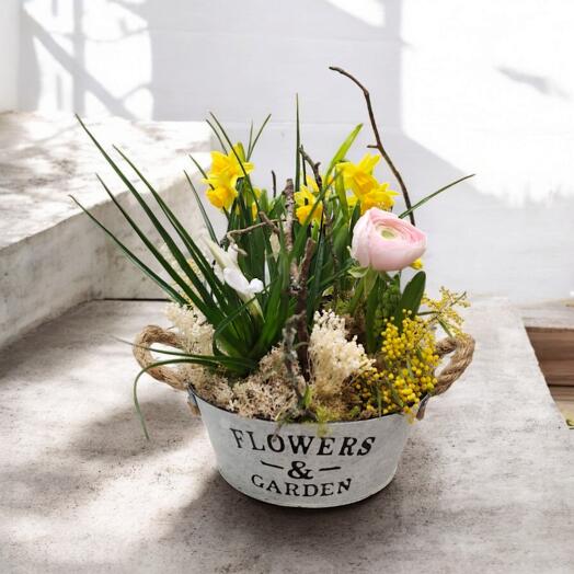 The blossom of Spring