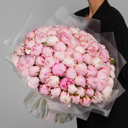 101 голандский пион премиум