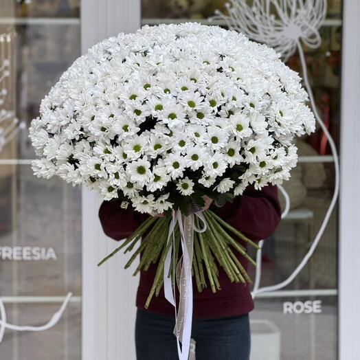 Букет из 55 веток белой хризантемы