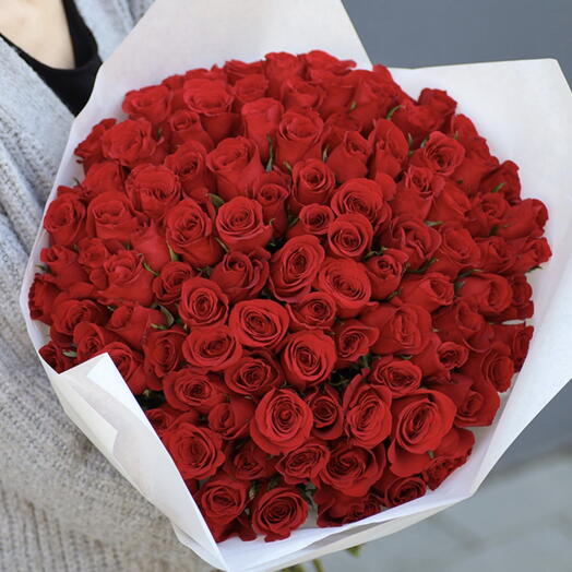 Netherlands  101 🌹