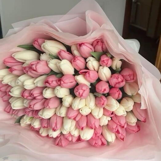 101 tender tulup mix🌷