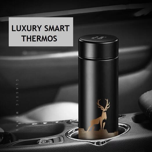 Double insulated Smart Water Bottle with LED temperature sensor