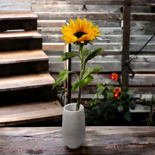 Sunflowers, price per piece