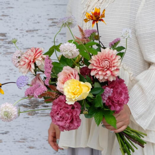 Moana! [Fairy Series]