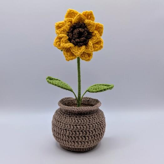 Flower in a pot
