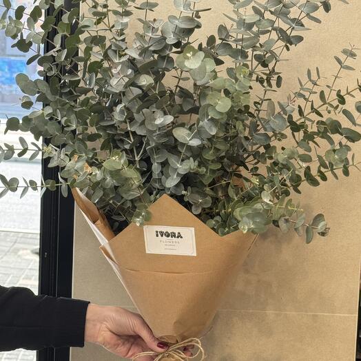 Eucalyptus bouquet