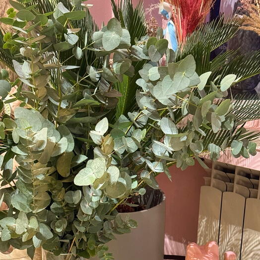 Bouquet of eucalyptus