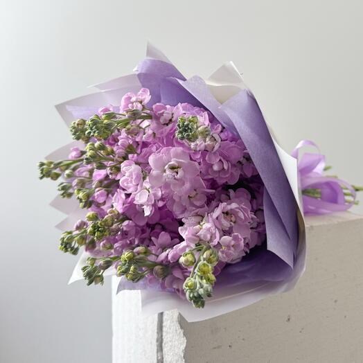 Purple Matthiola flowers bouquet