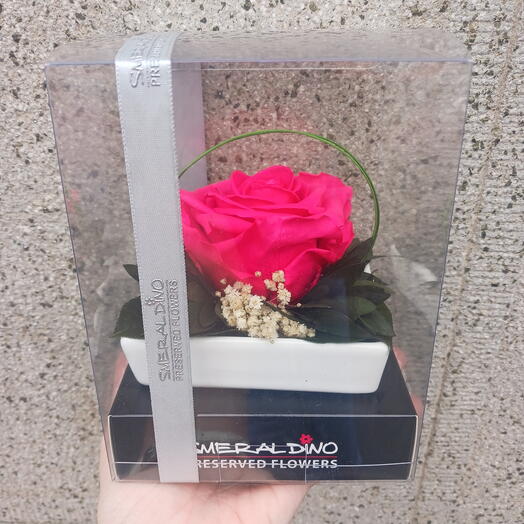 Stabilised rose dark pink