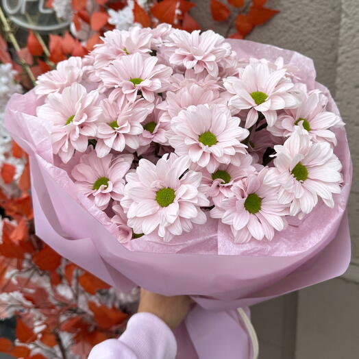 Strauß violetter Margeriten