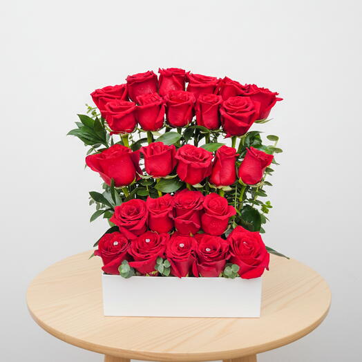 Radiant red roses
