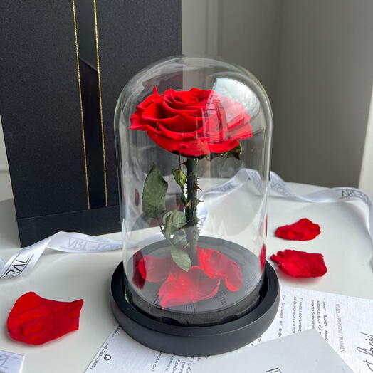 Ewige rote Rose im Glas