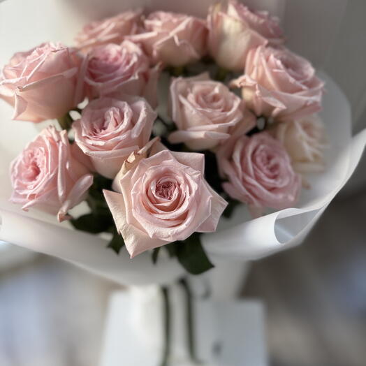 Pink Ohara roses