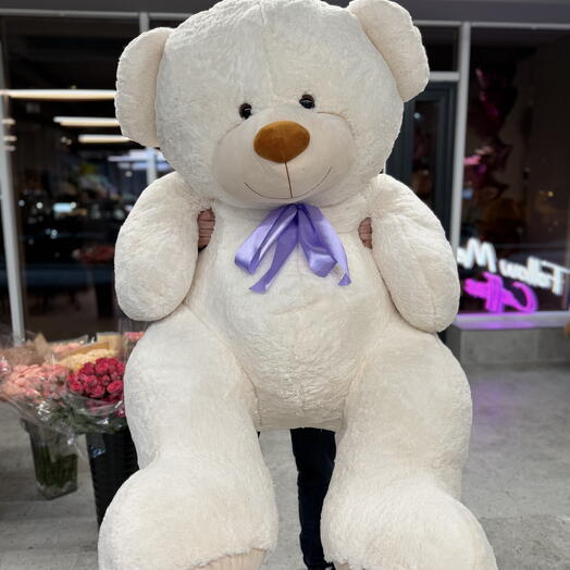 Bear gigant 2 m