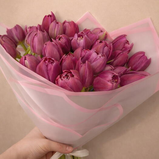 Mono Tulpen pink - 35