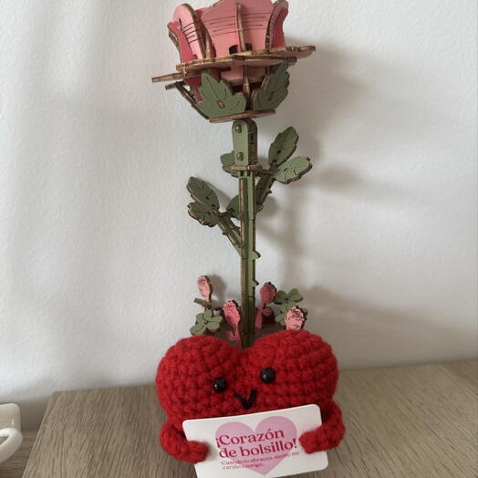 Rosa 23456