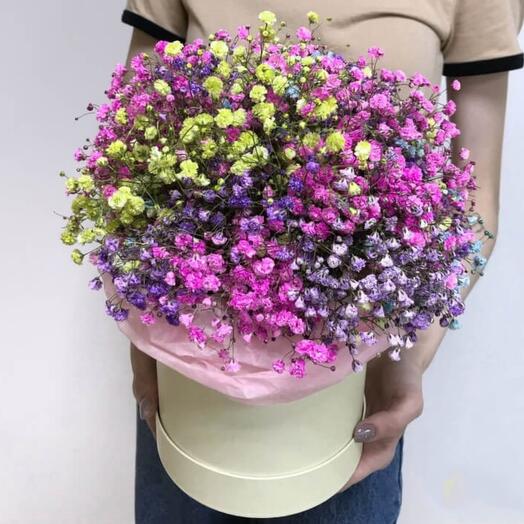 Rainbow Gypsophila in a Box (Mono Bouquet)