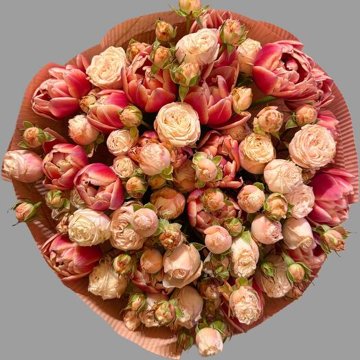 Tulipan plus Bombastic