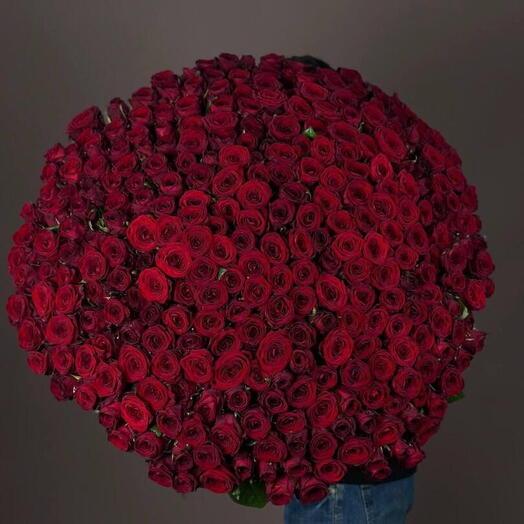 Букет из 301 красной розы