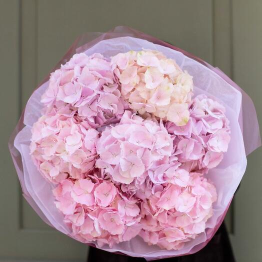 Strauß rosa Hortensien