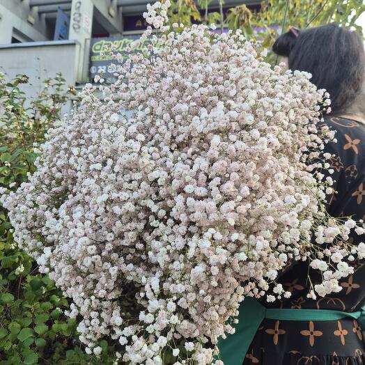 Beige gypsophila