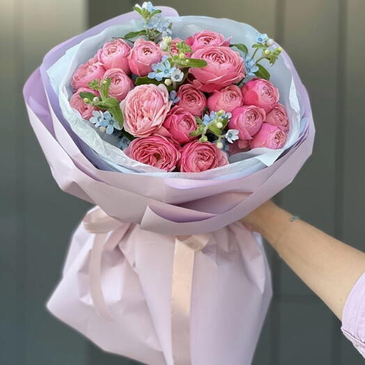 Silva Pink with oxypetalum